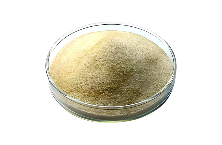 Sodium Alginate